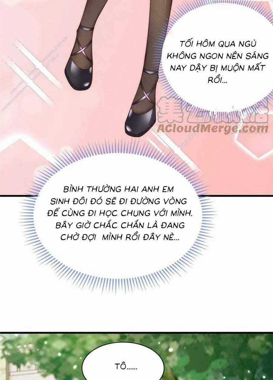 Tôi Được Năm Đại Lão Chiều Chuộng Hết Nấc Chapter 55 trang 12