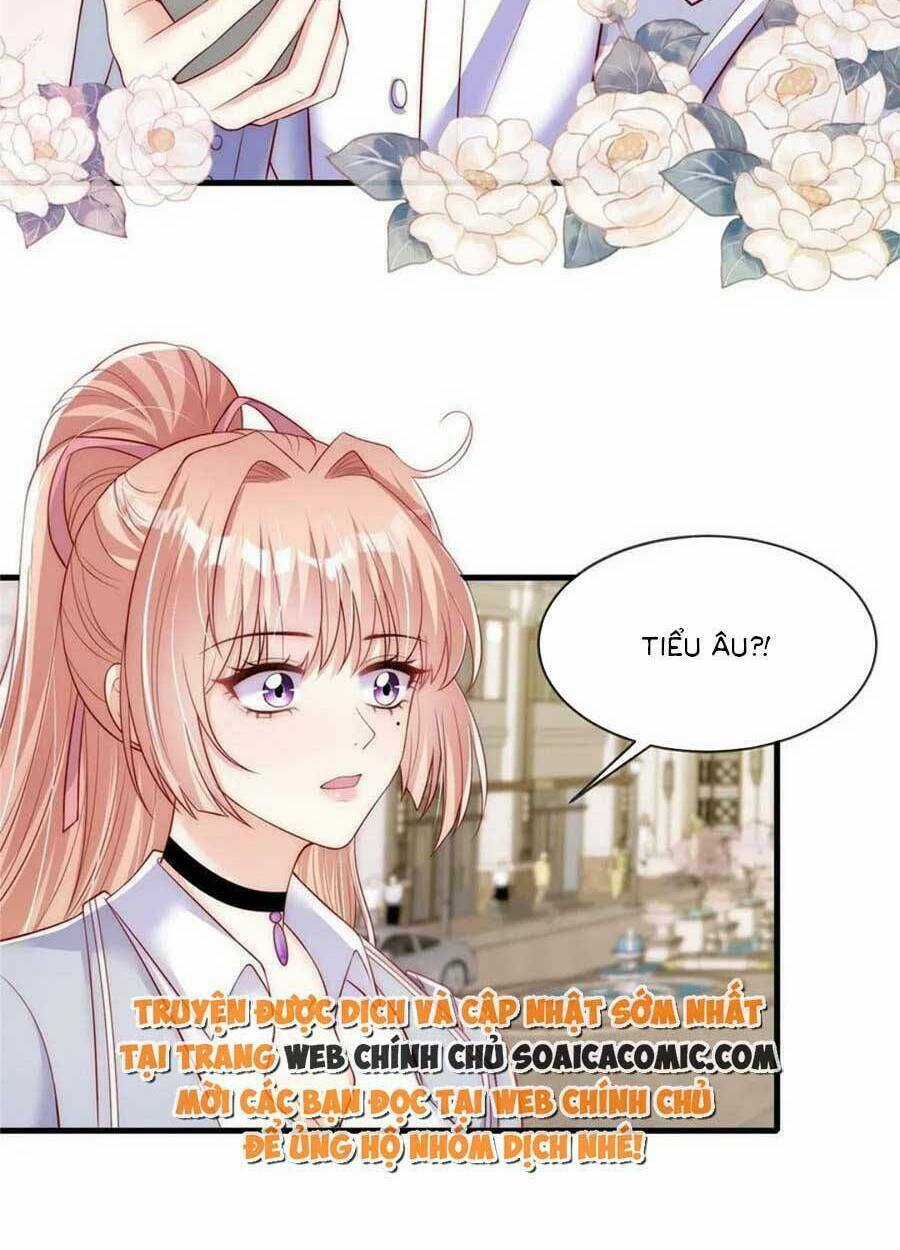 Tôi Được Năm Đại Lão Chiều Chuộng Hết Nấc Chapter 55 trang 15