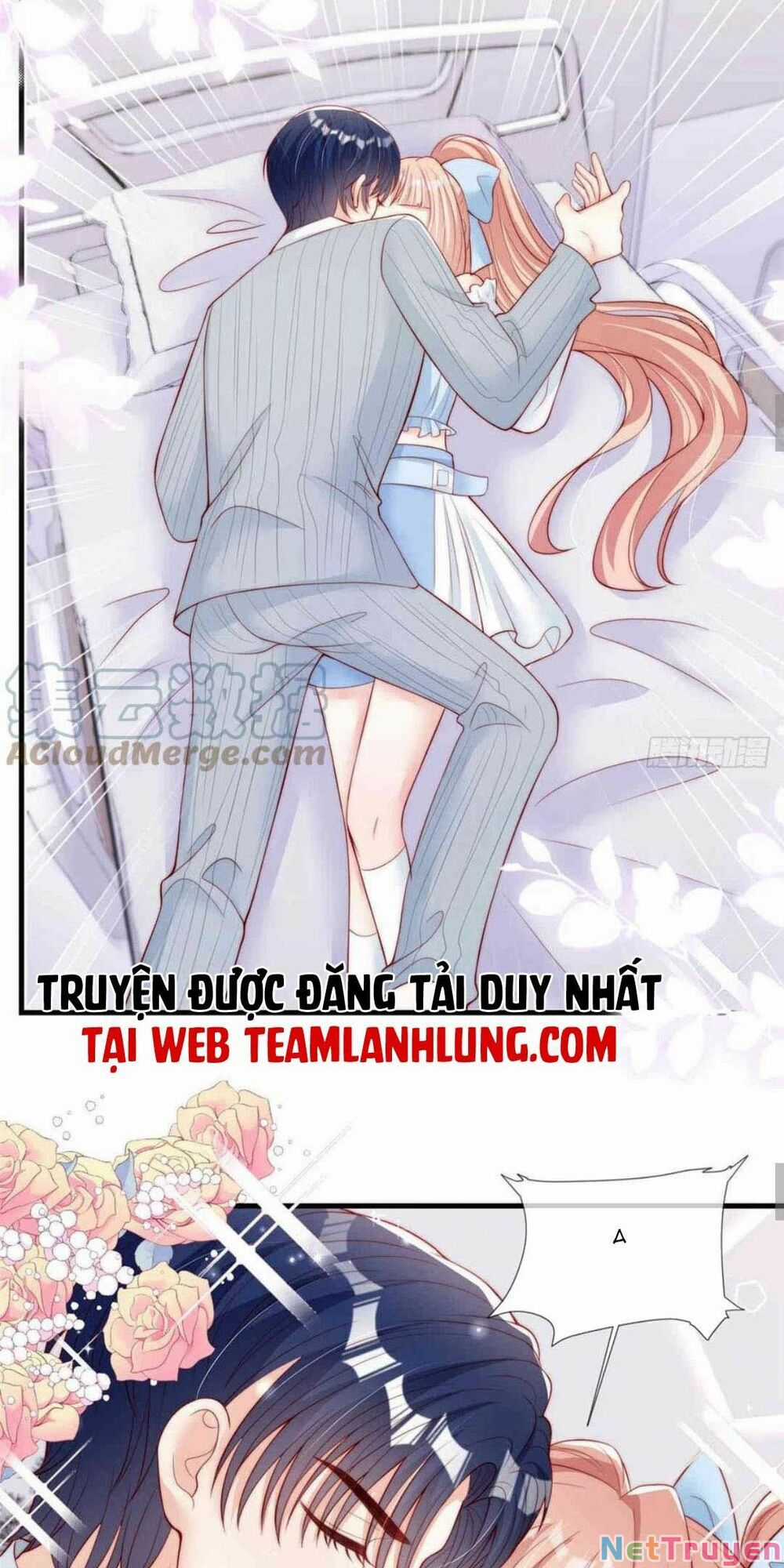 Tôi Được Năm Đại Lão Chiều Chuộng Hết Nấc Chapter 70 trang 16