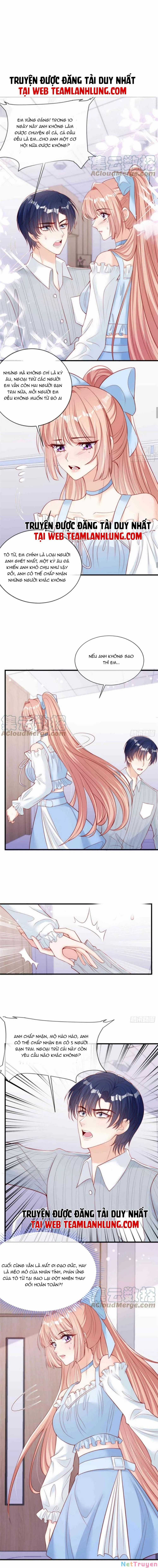 Tôi Được Năm Đại Lão Chiều Chuộng Hết Nấc Chapter 70 trang 6