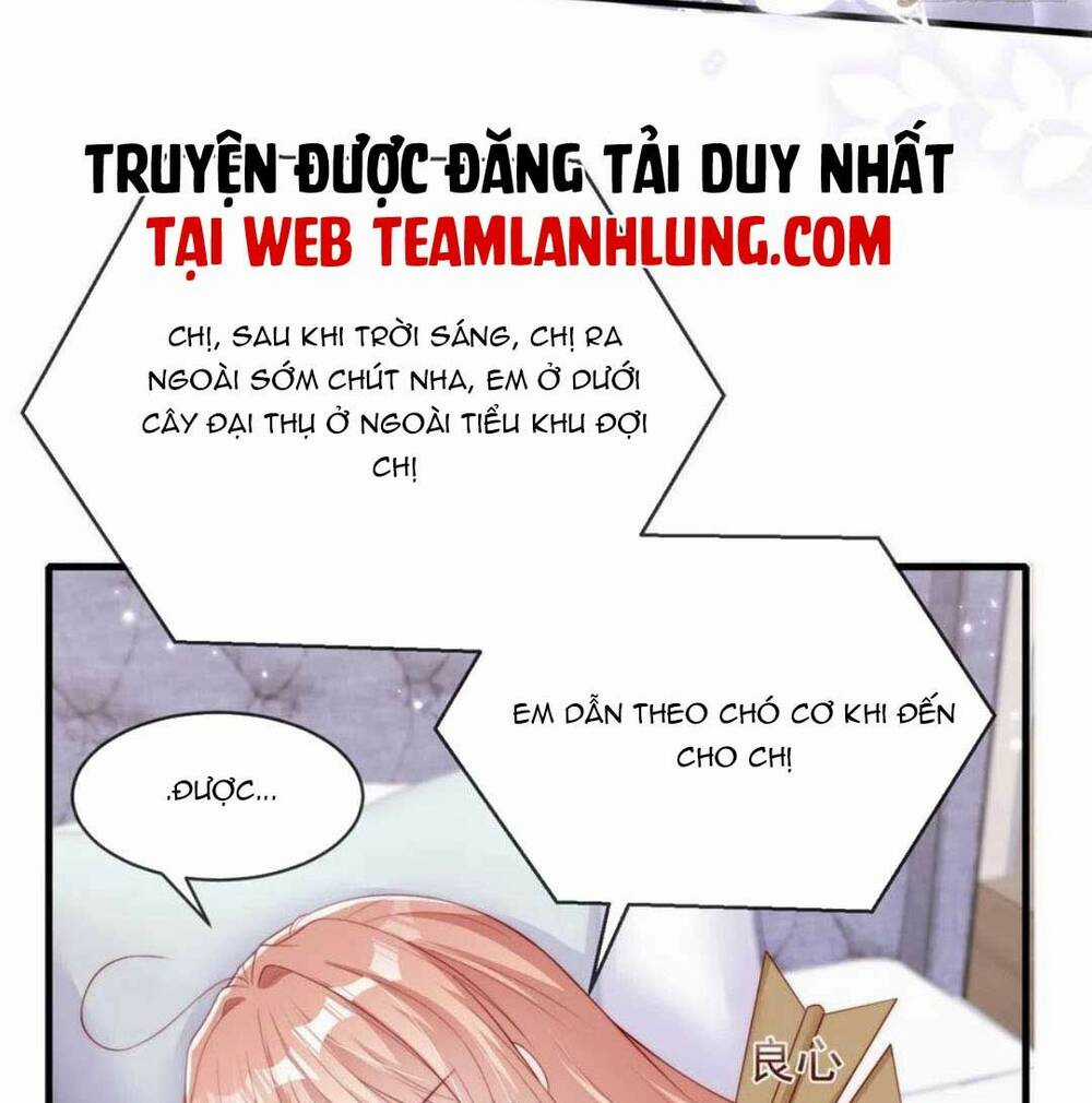 Tôi Được Năm Đại Lão Chiều Chuộng Hết Nấc Chapter 72 trang 28