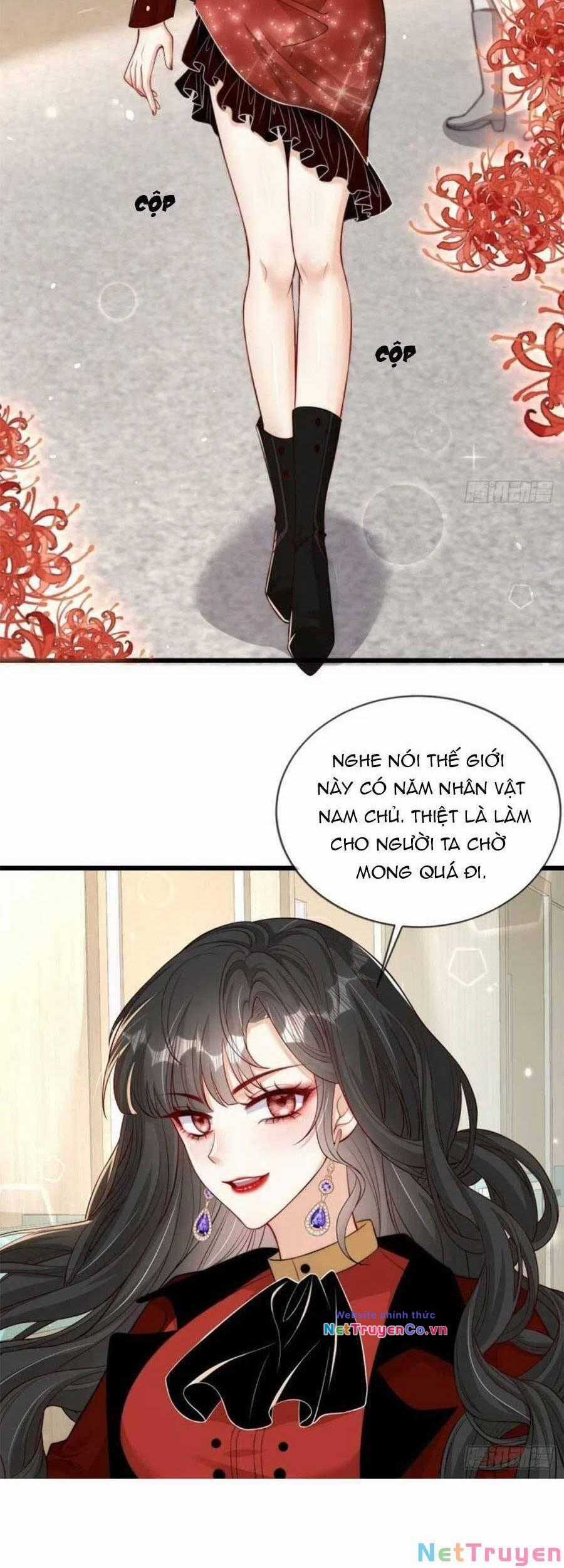 Tôi Được Năm Đại Lão Chiều Chuộng Hết Nấc Chapter 83 trang 12