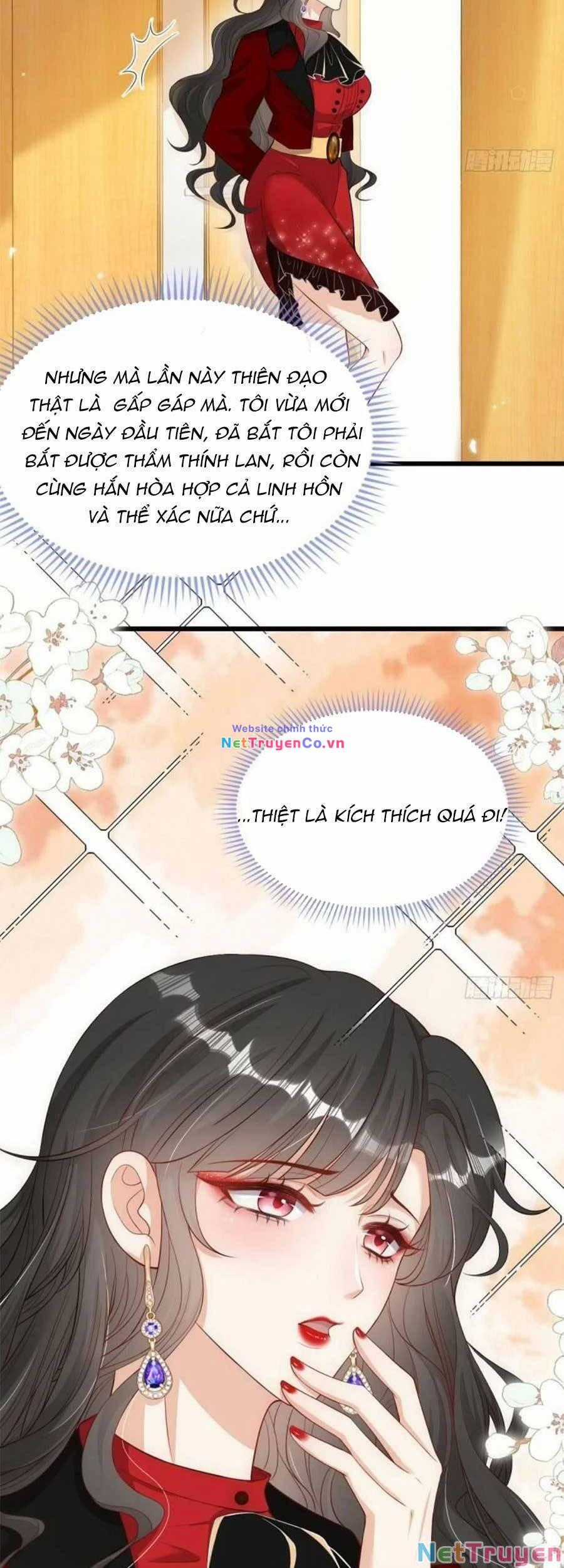 Tôi Được Năm Đại Lão Chiều Chuộng Hết Nấc Chapter 83 trang 18