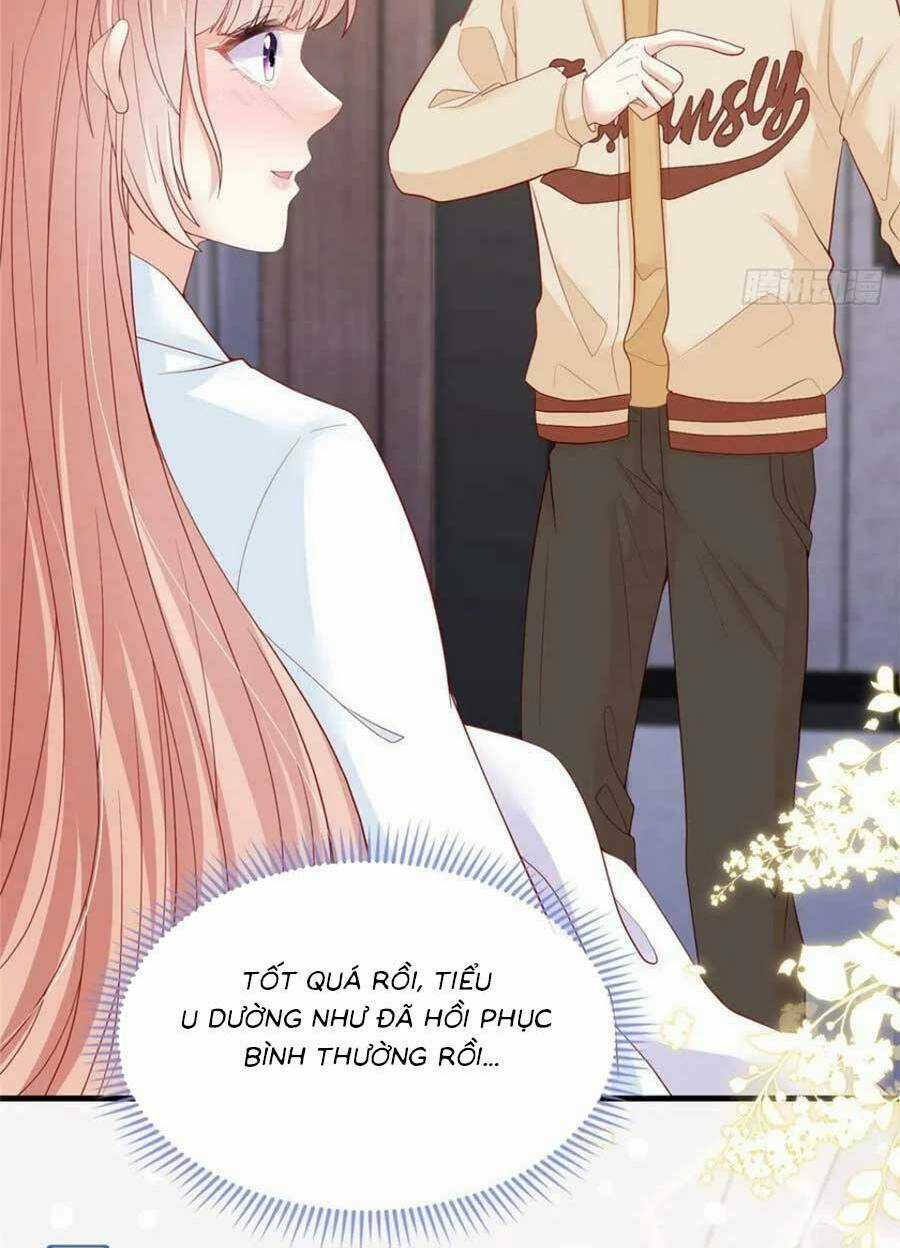 Tôi Được Năm Đại Lão Chiều Chuộng Hết Nấc Chapter 84 trang 3