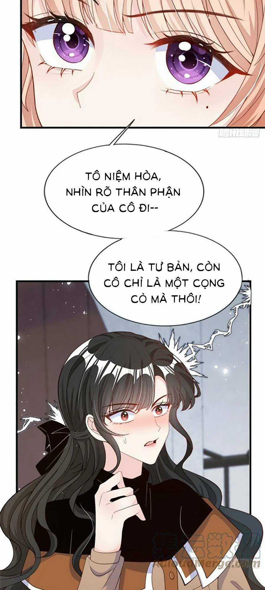 Tôi Được Năm Đại Lão Chiều Chuộng Hết Nấc Chapter 89 trang 12