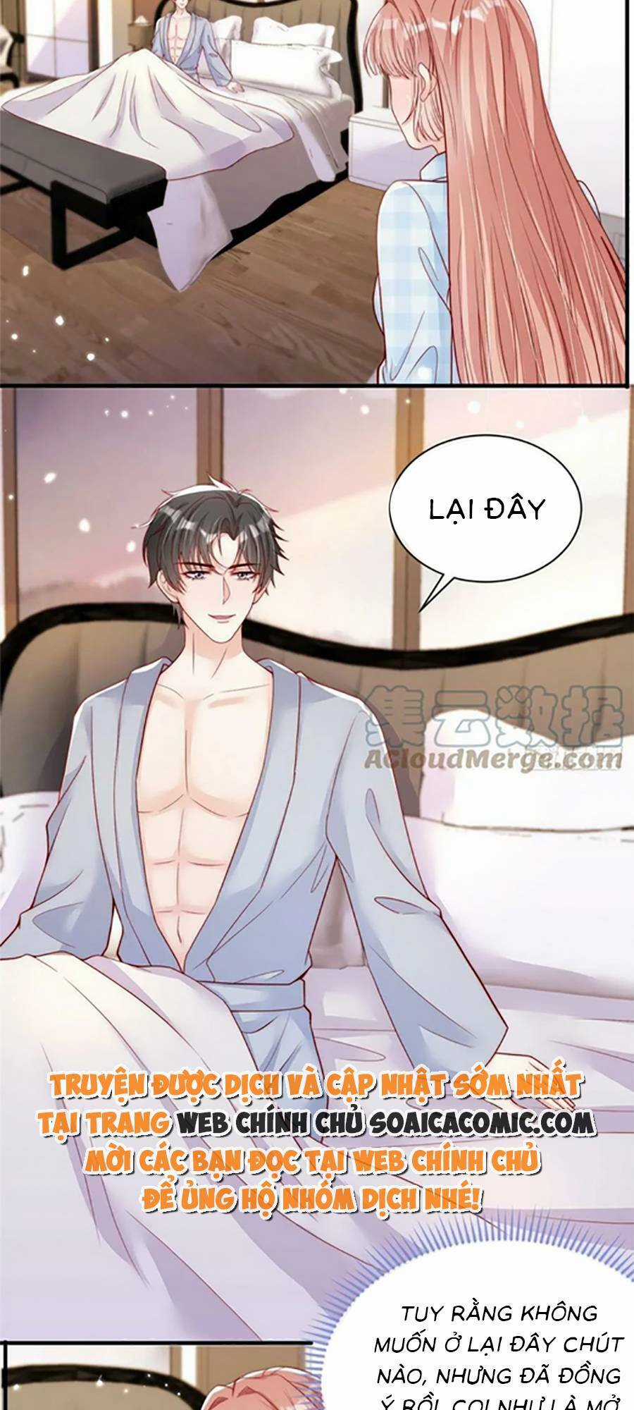 Tôi Được Năm Đại Lão Chiều Chuộng Hết Nấc Chapter 97 trang 6