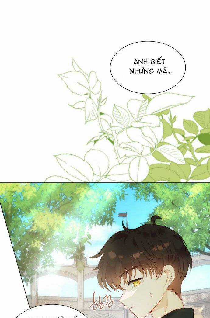 Tôi Được Sinh Ra Là Con Gái Thứ Hai Chapter 28 trang 35