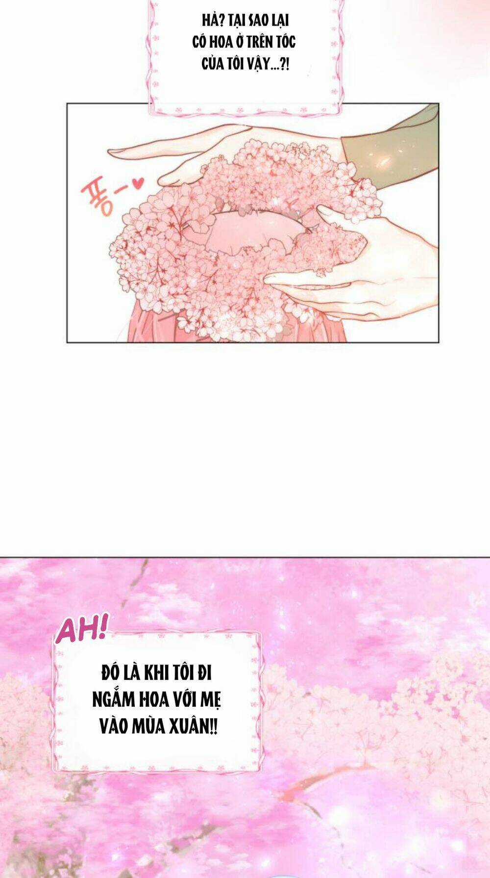 Tôi Được Sinh Ra Là Con Gái Thứ Hai Chapter 3 trang 11