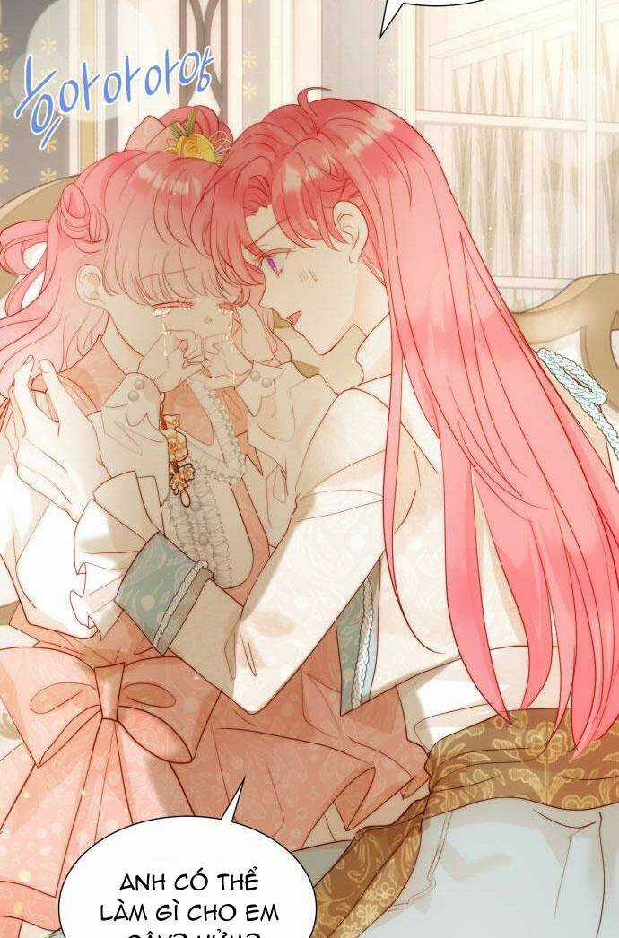 Tôi Được Sinh Ra Là Con Gái Thứ Hai Chapter 33 trang 17