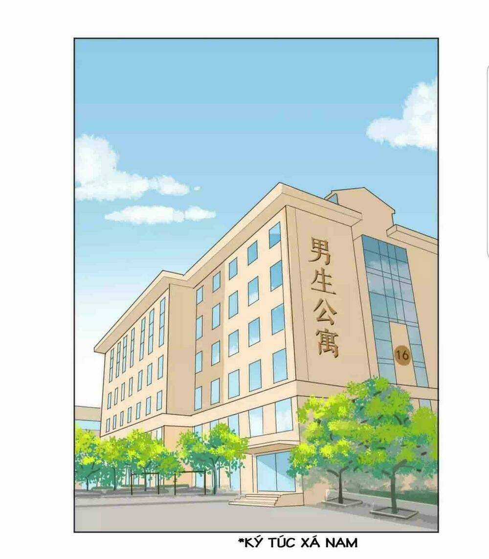 Tôi Gặp Em Lúc Bình Minh Chapter 15 trang 11