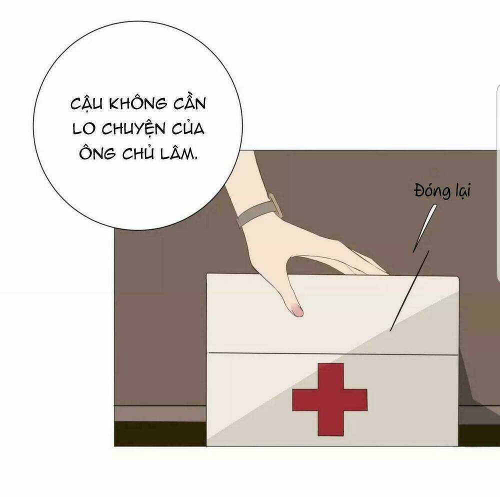 Tôi Gặp Em Lúc Bình Minh Chapter 22 trang 14