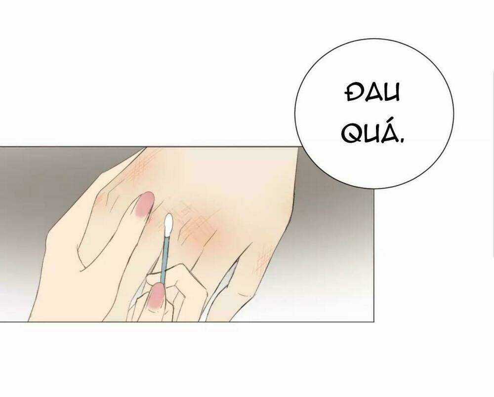 Tôi Gặp Em Lúc Bình Minh Chapter 22 trang 2