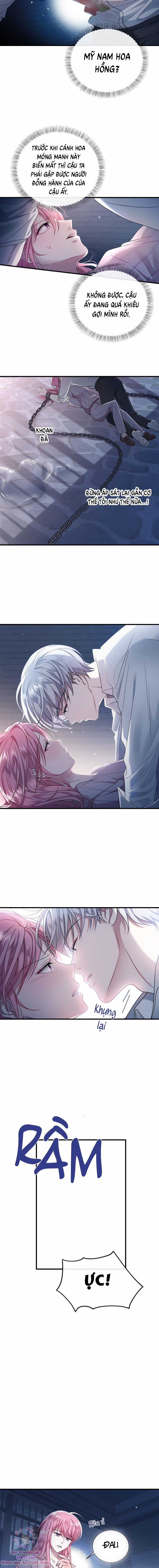 Tôi Gặp Nam Chính Trong Tù Chapter 5 trang 3