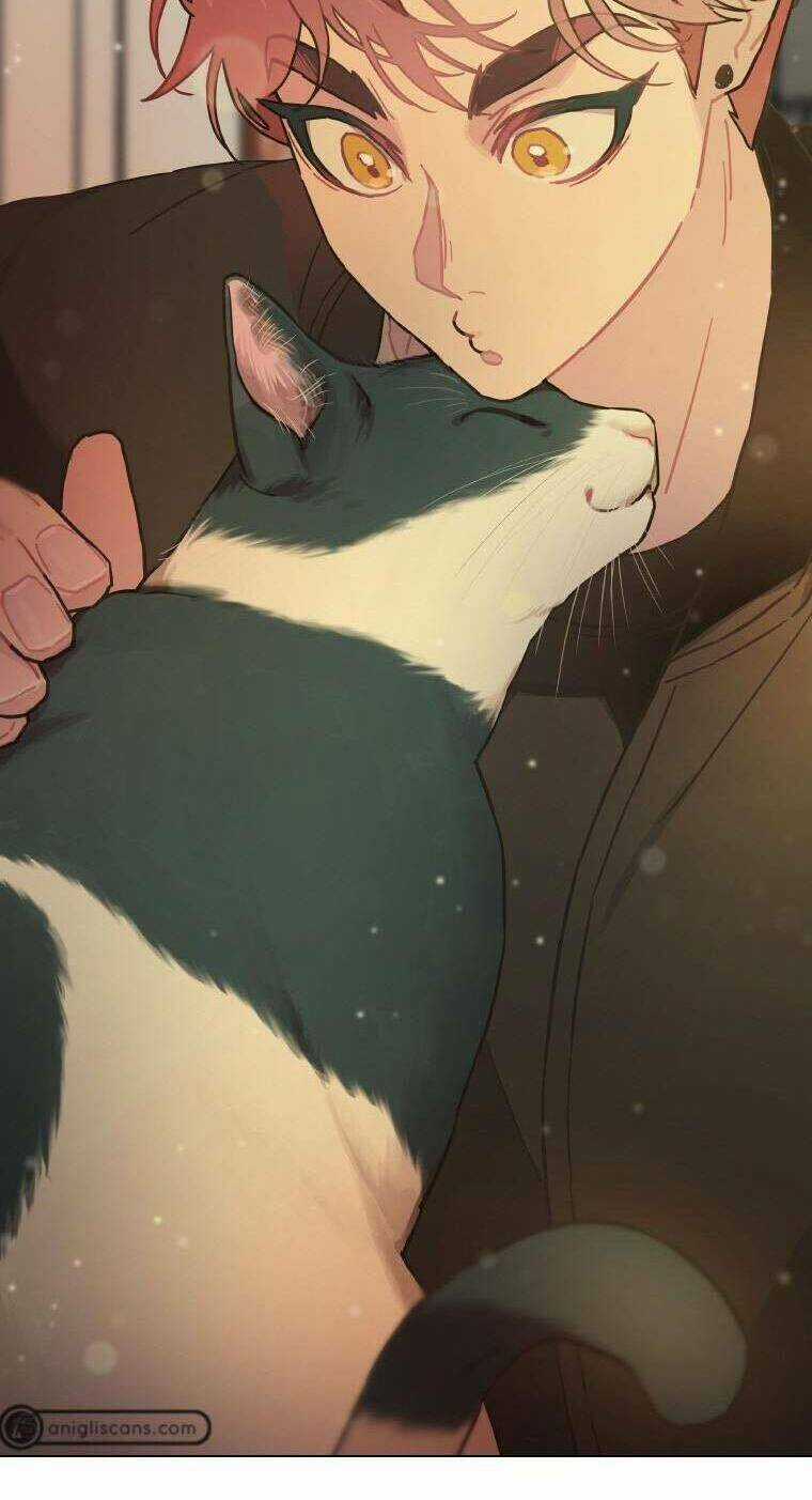 Tôi Giải Cứu Nhóm Idol Vô Danh Bằng Một Cú Chạm Chapter 13 trang 3