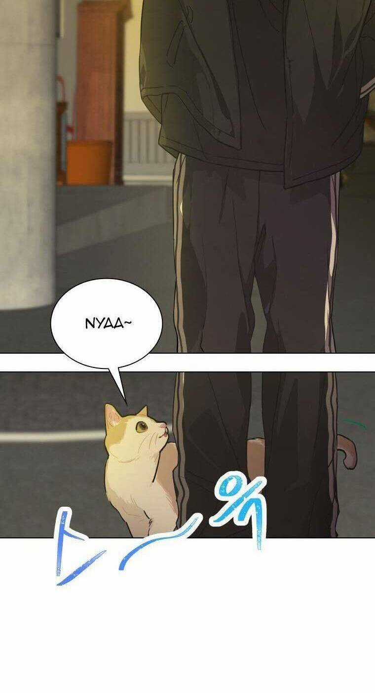 Tôi Giải Cứu Nhóm Idol Vô Danh Bằng Một Cú Chạm Chapter 13 trang 7