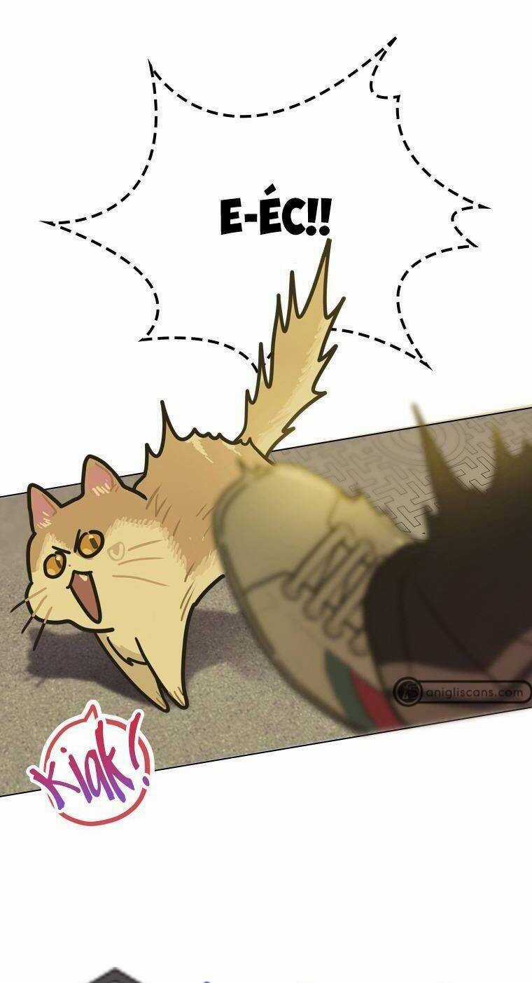 Tôi Giải Cứu Nhóm Idol Vô Danh Bằng Một Cú Chạm Chapter 13 trang 8