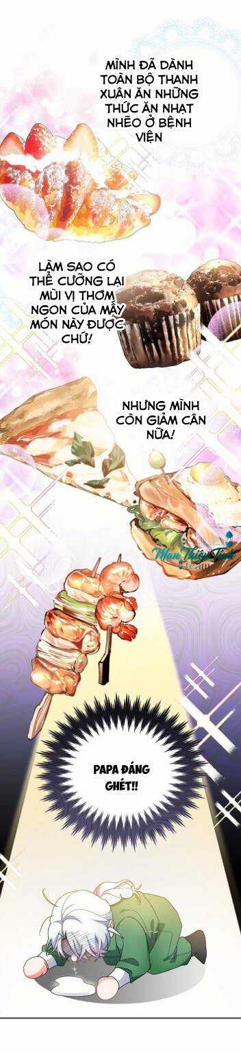 Tôi Hạnh Phúc Khi Là Phản Diện Giàu Có Chapter 2 trang 17