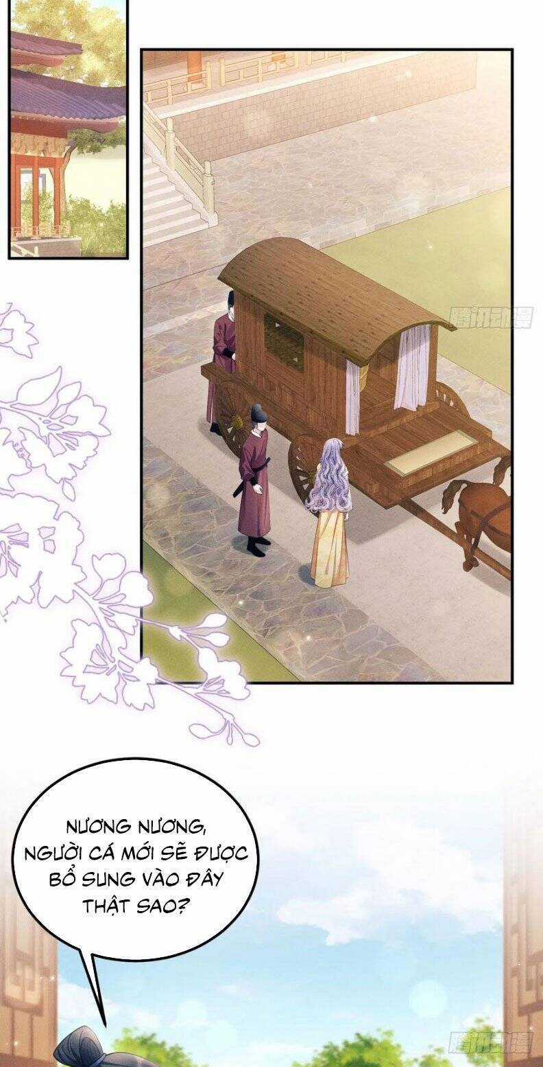 Tôi Hoài Nghi Ảnh Đế Đang Theo Đuổi Tôi Chương 175 trang 15