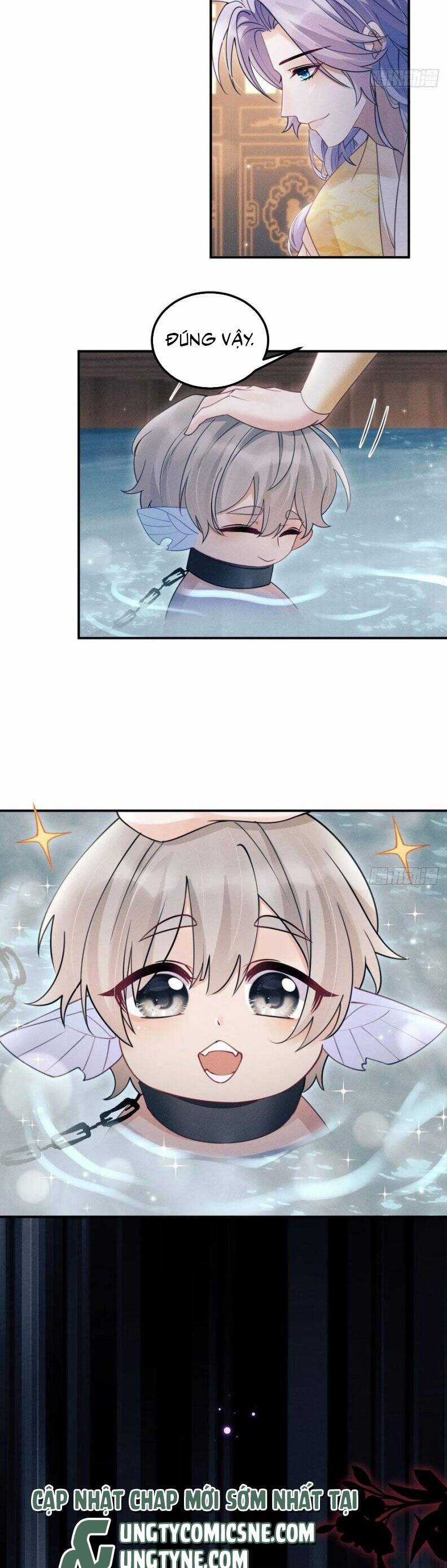 Tôi Hoài Nghi Ảnh Đế Đang Theo Đuổi Tôi Chương 175 trang 20