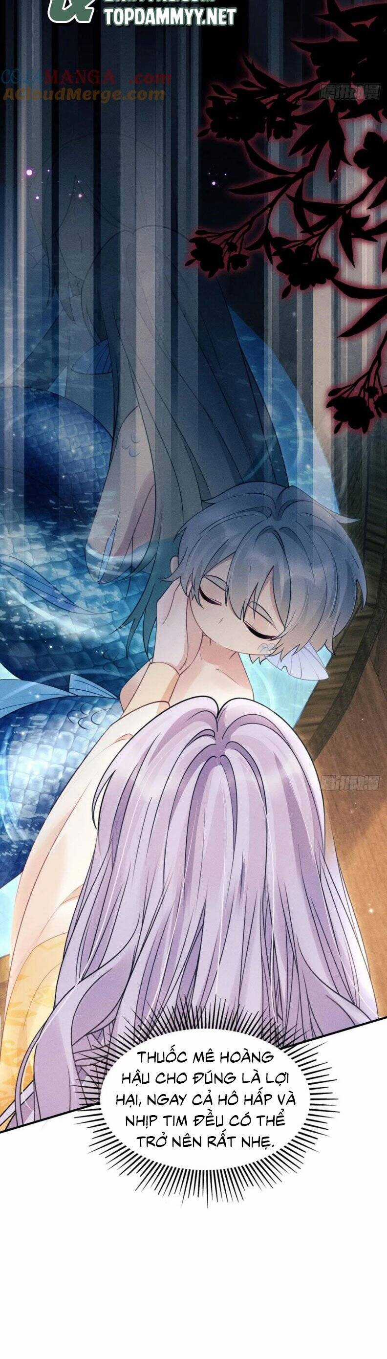 Tôi Hoài Nghi Ảnh Đế Đang Theo Đuổi Tôi Chương 175 trang 21