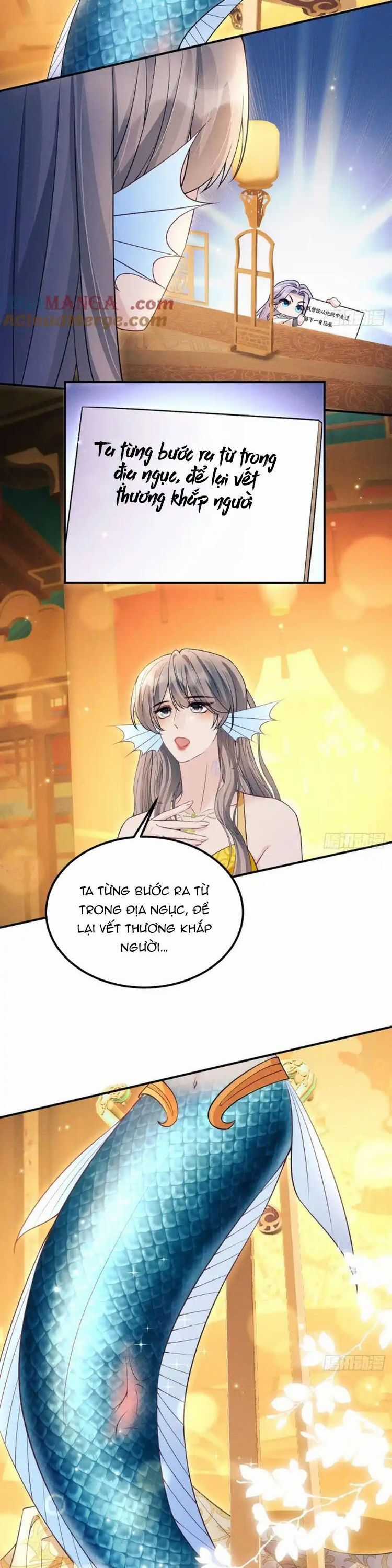 Tôi Hoài Nghi Ảnh Đế Đang Theo Đuổi Tôi Chương 183 trang 11