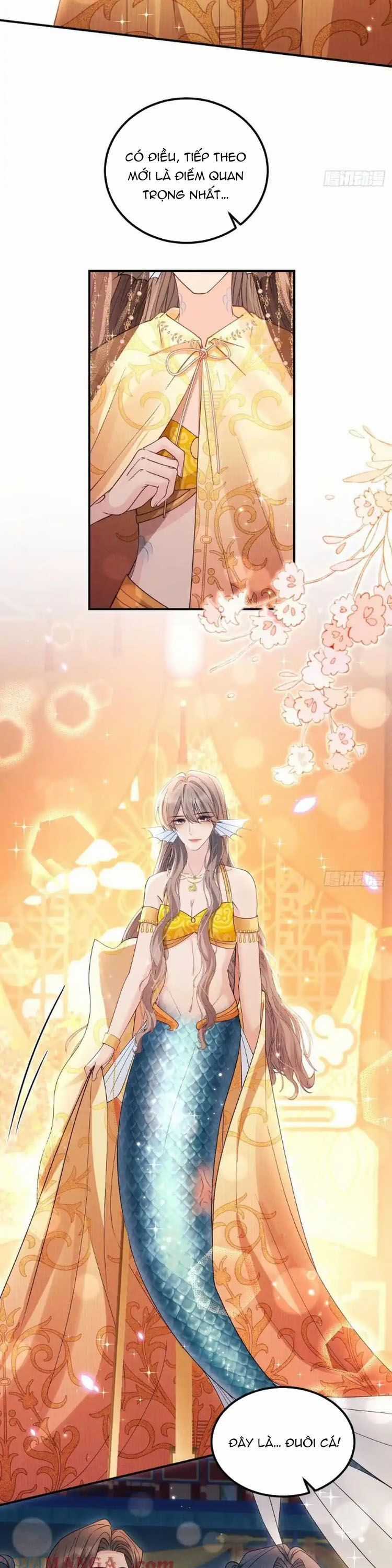 Tôi Hoài Nghi Ảnh Đế Đang Theo Đuổi Tôi Chương 183 trang 9