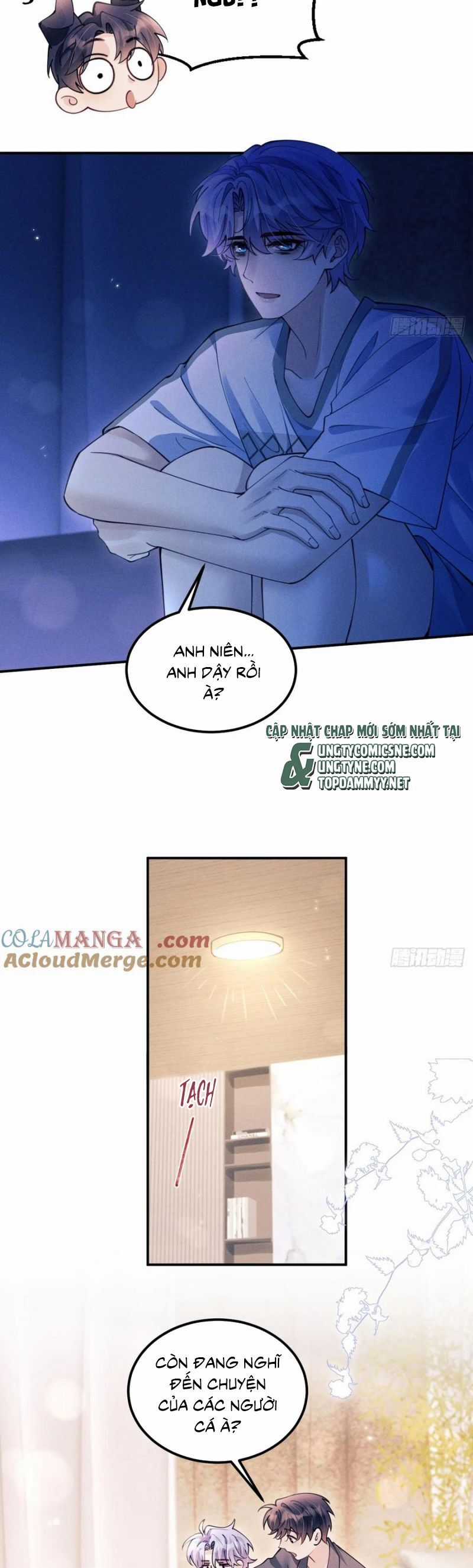 Tôi Hoài Nghi Ảnh Đế Đang Theo Đuổi Tôi Chương 191 trang 5