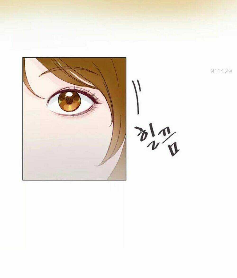 Tôi Kết Hôn Cùng Antifan Chapter 1.1 trang 15