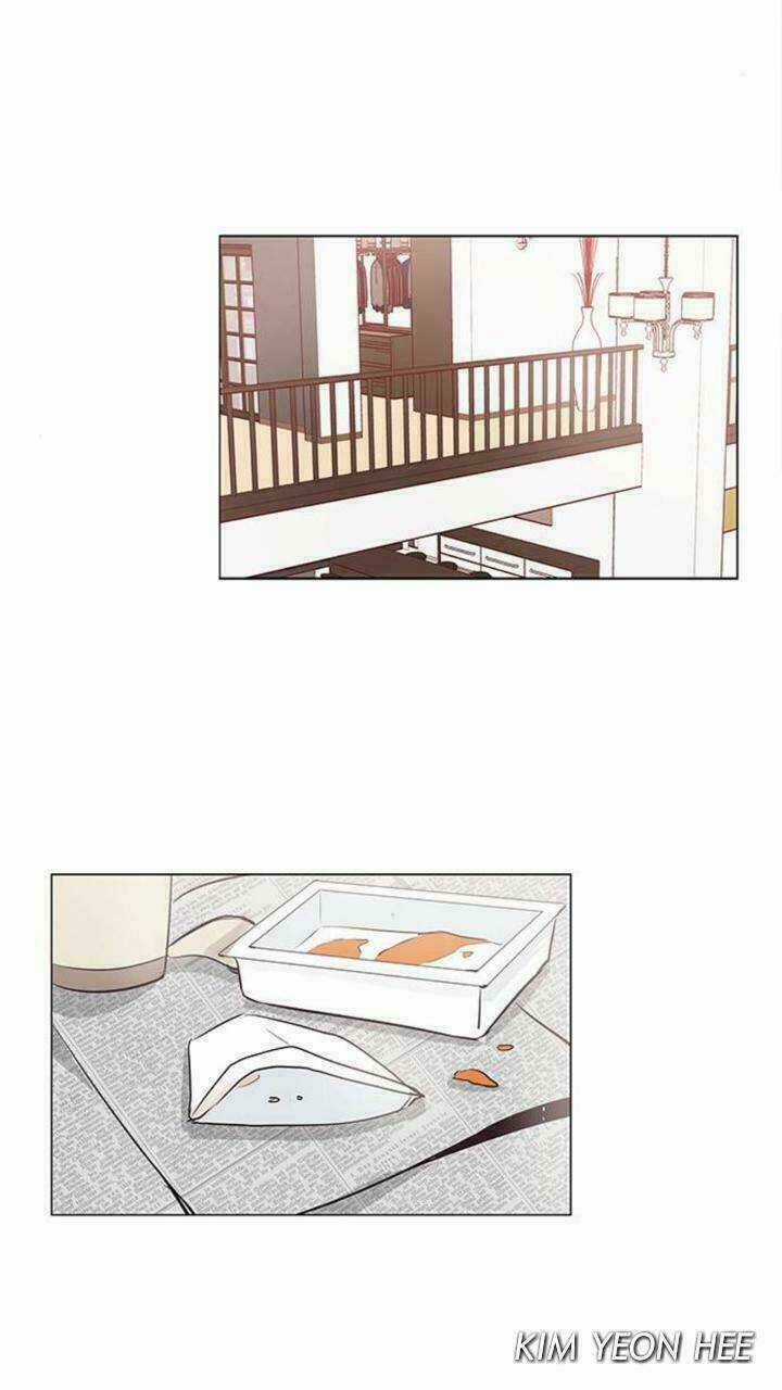 Tôi Kết Hôn Cùng Antifan Chapter 19 trang 52