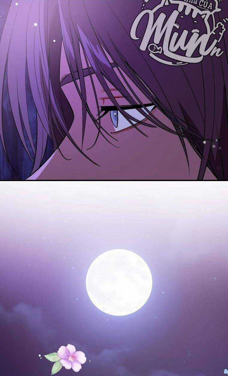 Tôi Không Cố Ý Quyến Rũ Nam Chính Đâu! Chapter 46 trang 13