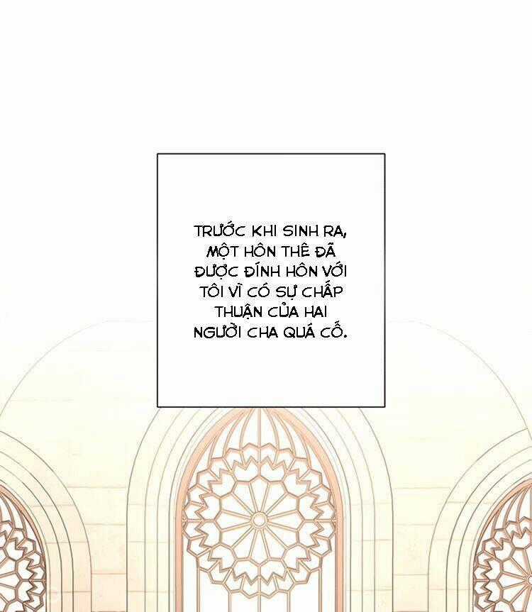 Tôi Không Còn Yêu Anh Nữa Chapter 19 trang 1
