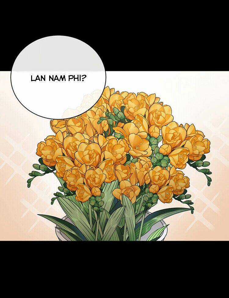 Tôi Không Còn Yêu Anh Nữa Chapter 19 trang 11