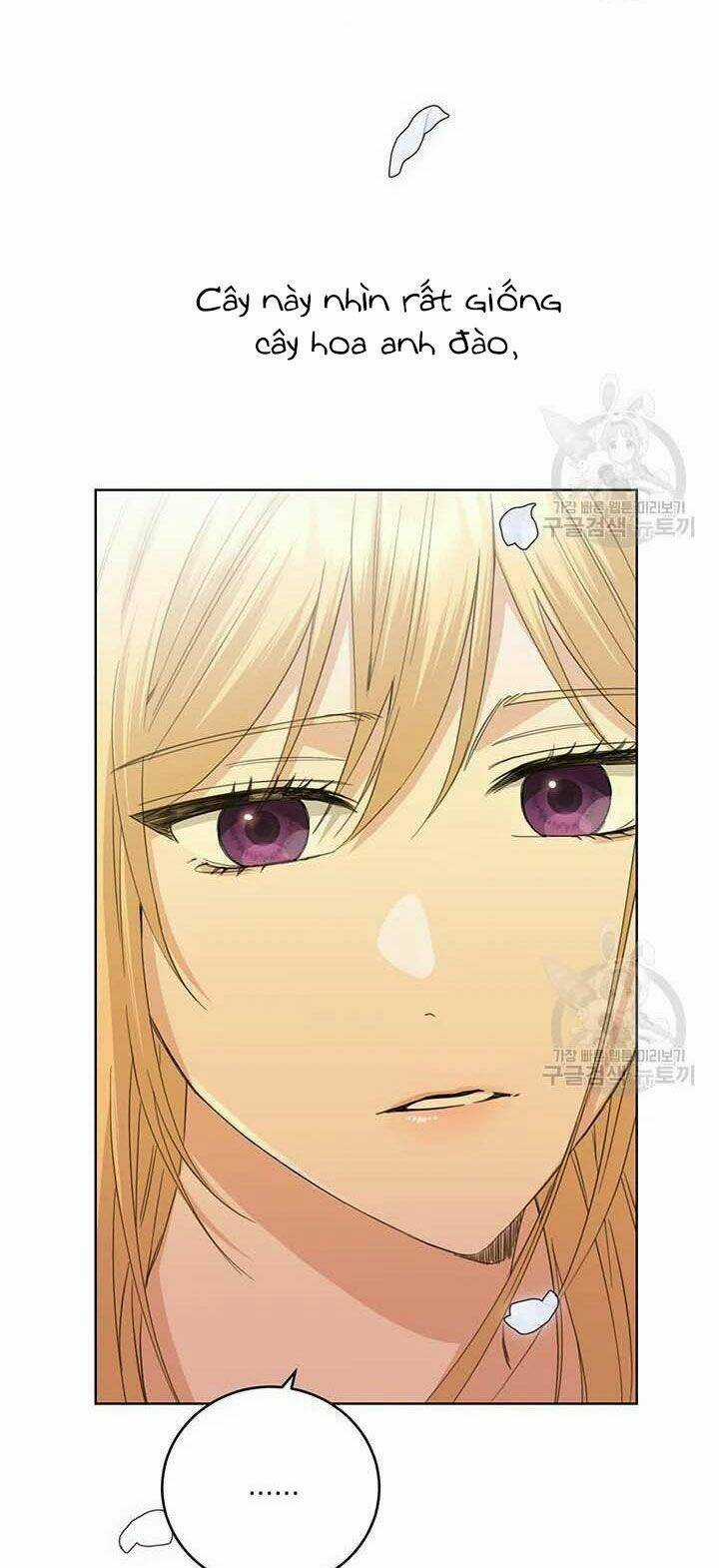 Tôi Không Còn Yêu Anh Nữa Chapter 49 trang 10