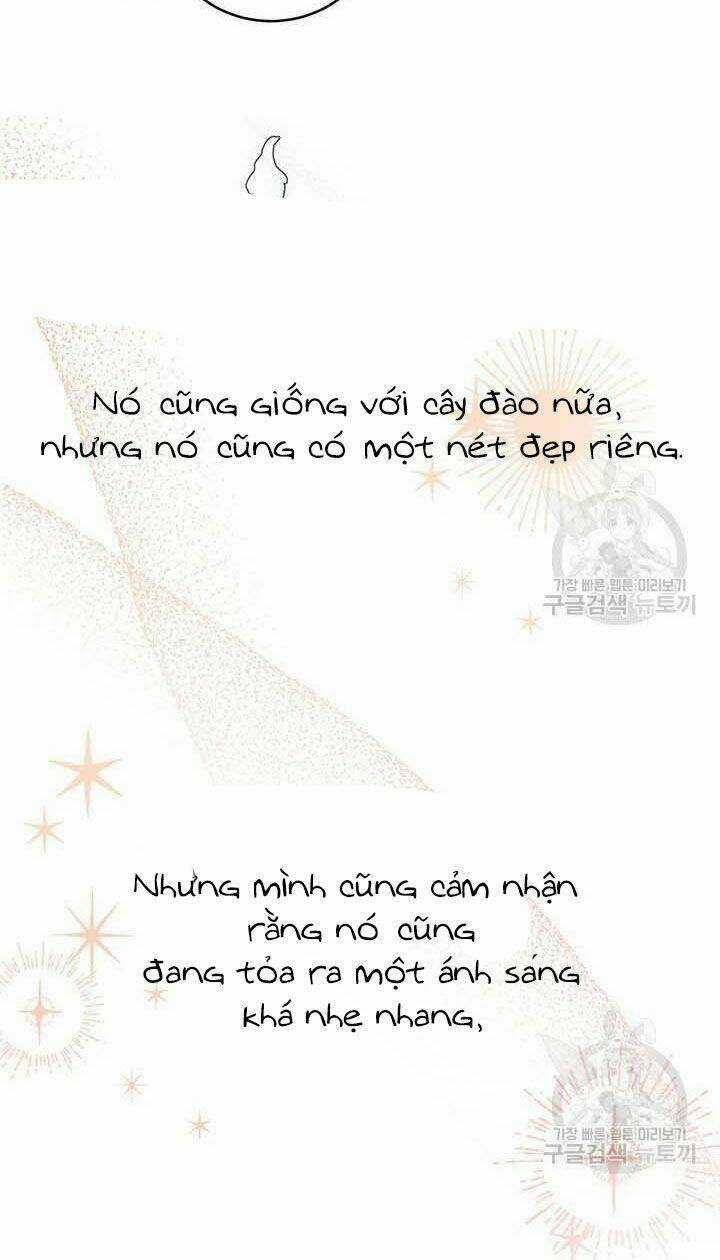 Tôi Không Còn Yêu Anh Nữa Chapter 49 trang 17