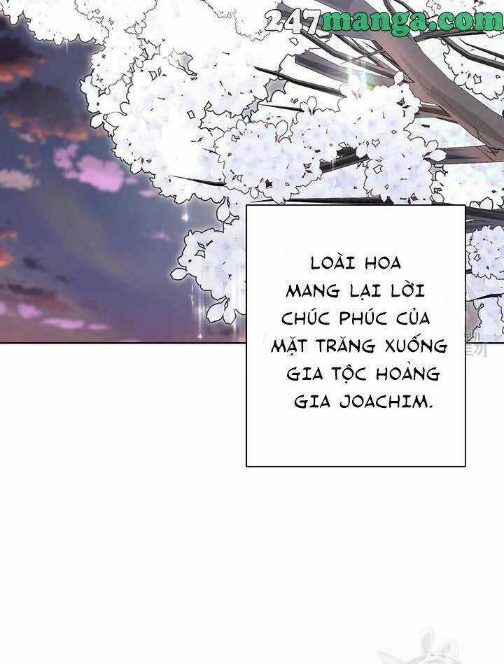 Tôi Không Còn Yêu Anh Nữa Chapter 50 trang 32