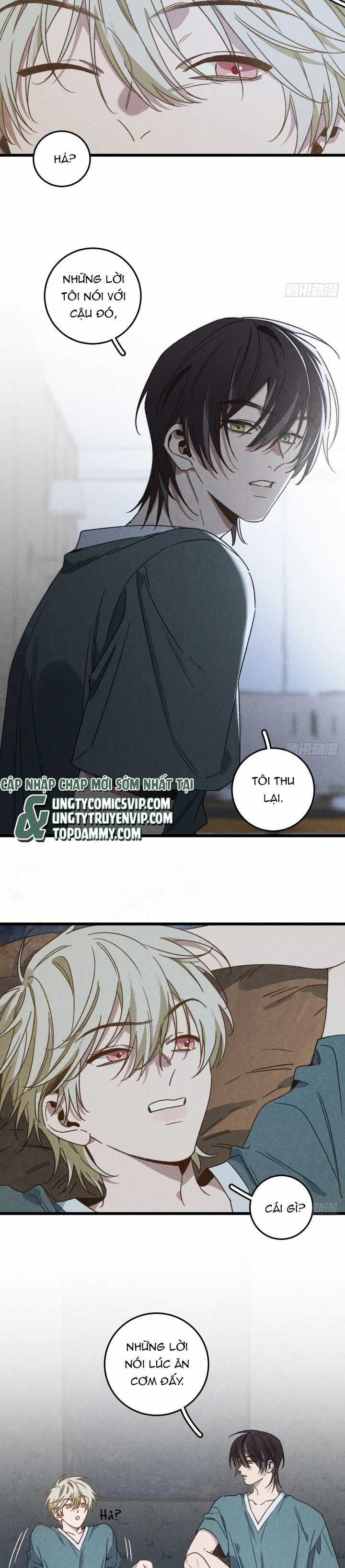 Tôi Không Cùng Anh Đến Vùng Đất Bắp Ngô Đâu! Chapter 41 trang 5