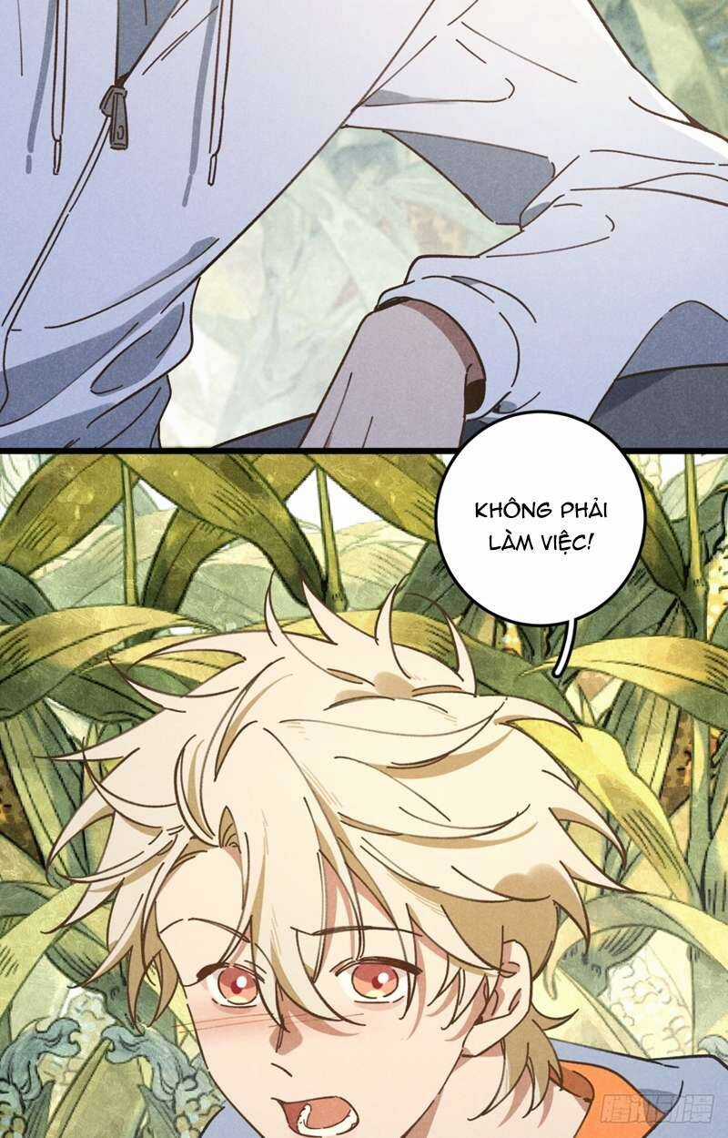 Tôi Không Cùng Anh Đến Vùng Đất Bắp Ngô Đâu! Chương 19 trang 18