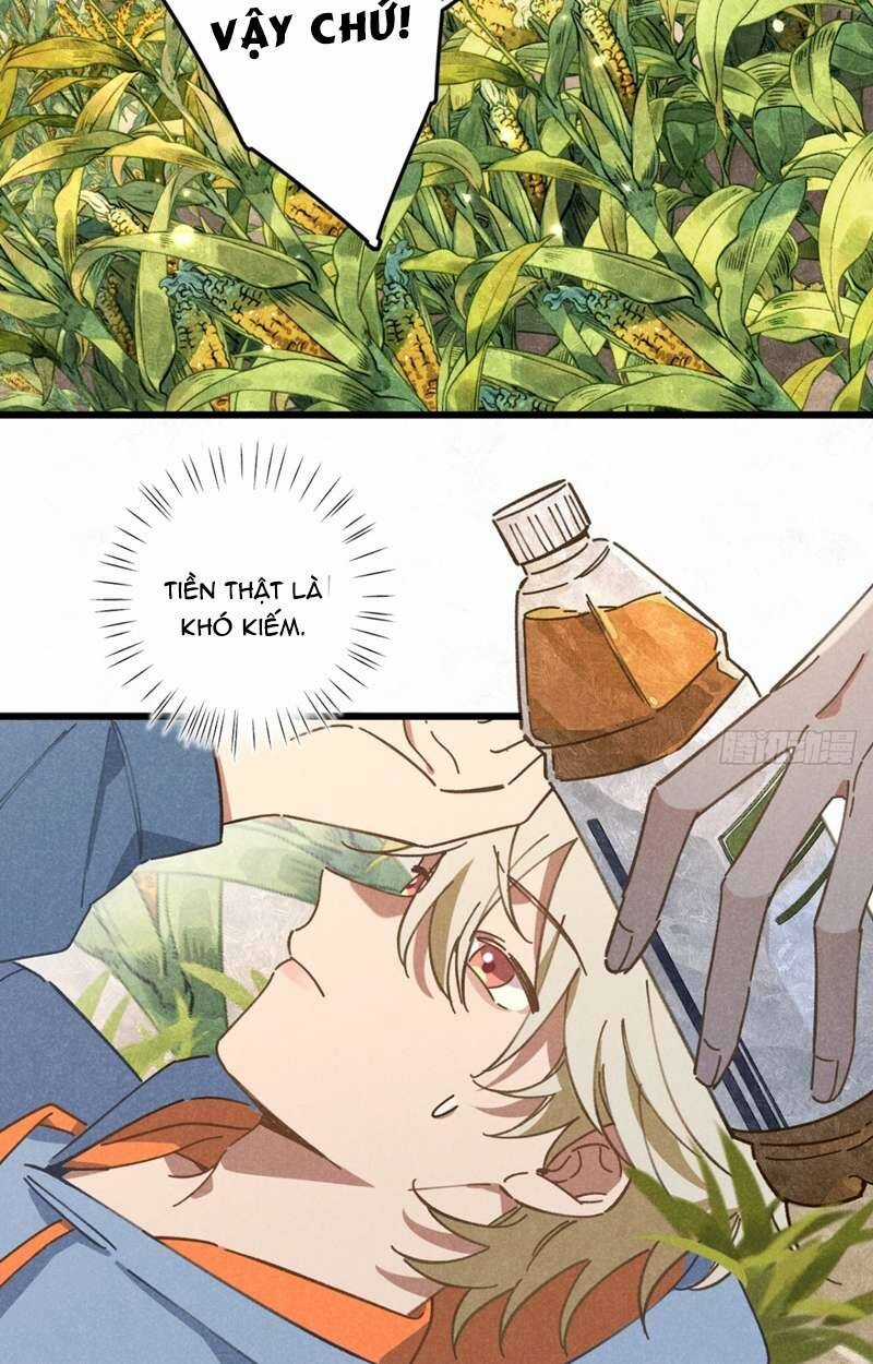 Tôi Không Cùng Anh Đến Vùng Đất Bắp Ngô Đâu! Chương 19 trang 15