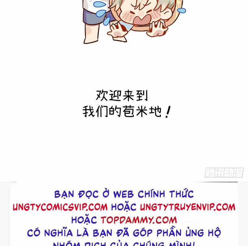 Tôi Không Cùng Anh Đến Vùng Đất Bắp Ngô Đâu! Chương 20 trang 59