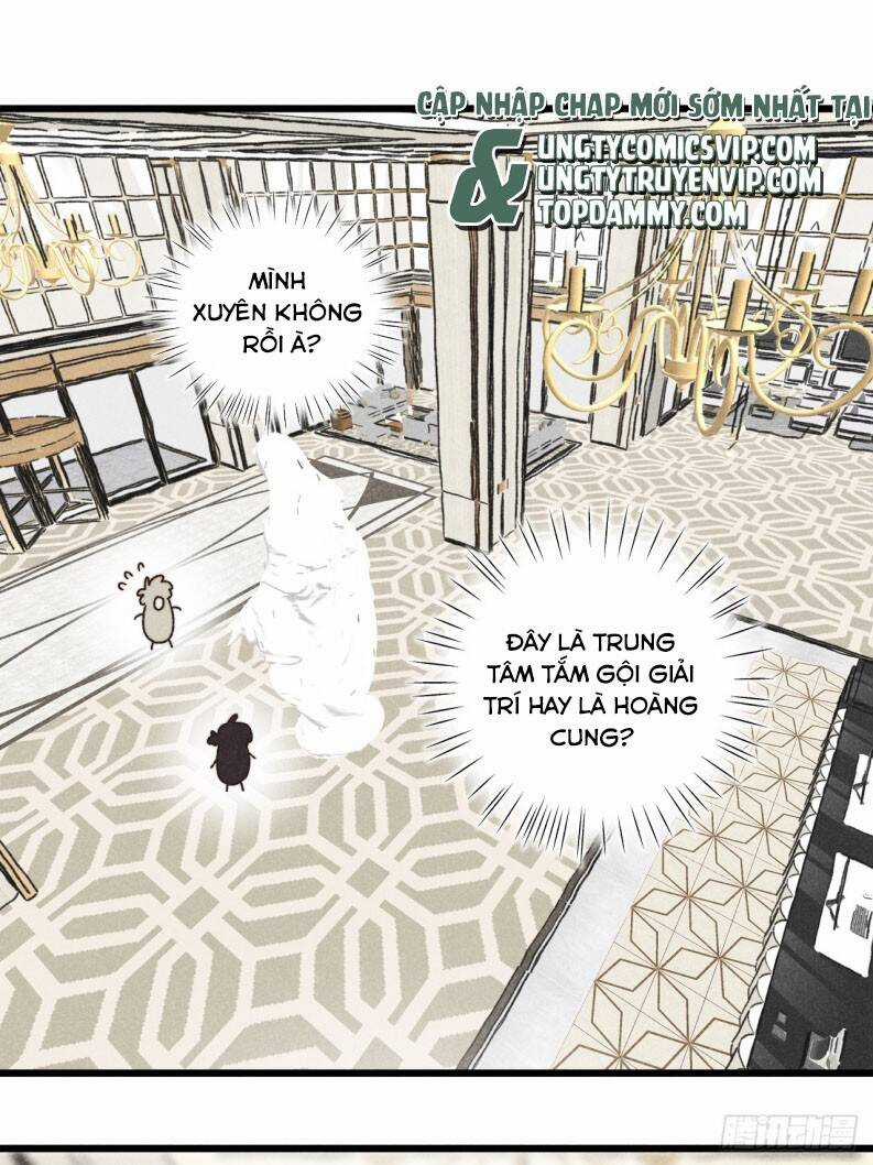 Tôi Không Cùng Anh Đến Vùng Đất Bắp Ngô Đâu! Chương 38 trang 8