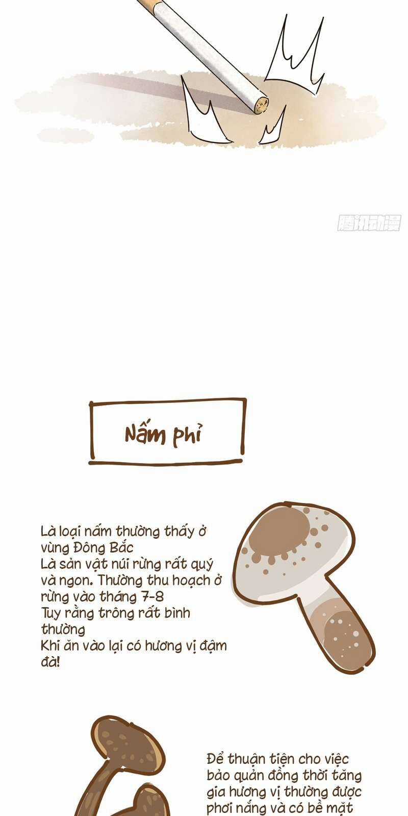 Tôi Không Cùng Anh Đến Vùng Đất Bắp Ngô Đâu! Chương 8 trang 50
