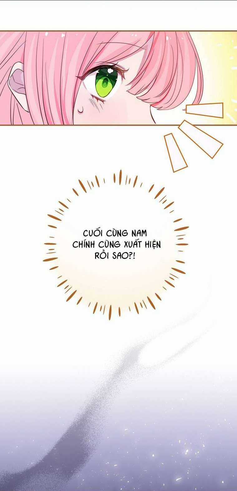 Tôi Không Muốn Có Con Với Nam Chính Chapter 2 trang 15