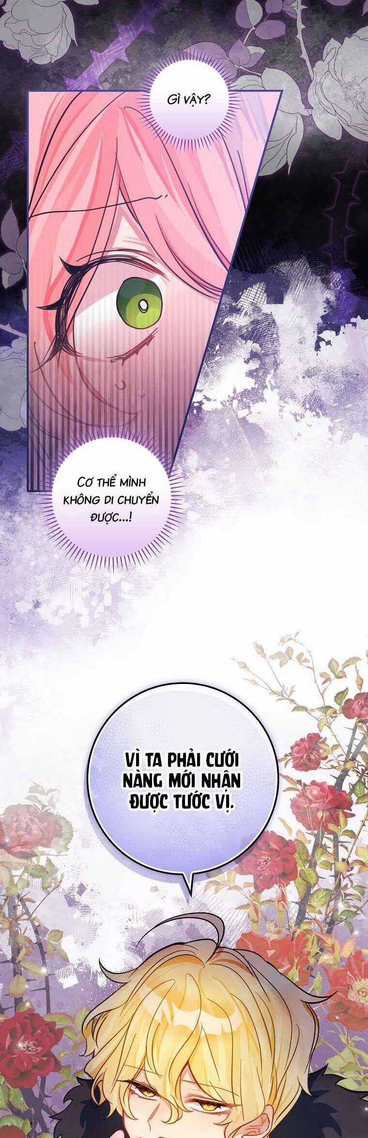 Tôi Không Muốn Có Con Với Nam Chính Chapter 5 trang 2