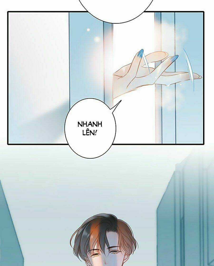 Tôi Không Muốn Coi Em Là Chị Nữa Chapter 2 trang 11