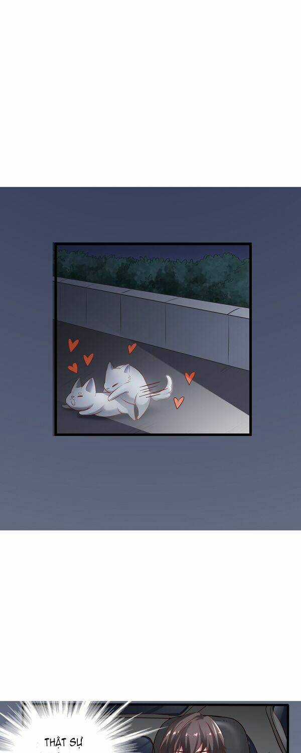 Tôi không muốn fa như vậy đâu Chapter 2 trang 4