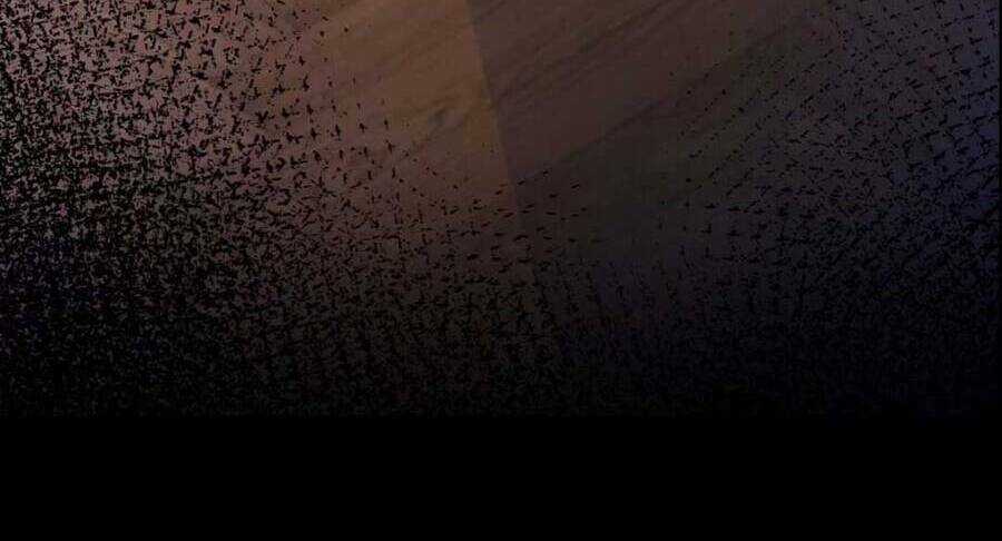 Tôi Không Muốn Làm Bạch Nguyệt Quang Của Kẻ Phản Diện Chapter 6 trang 12