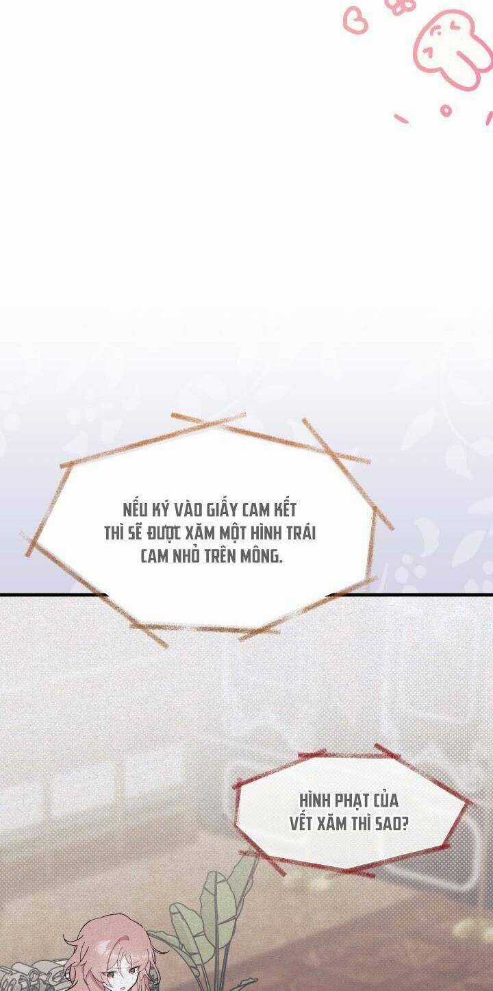 Tôi Không Muốn Làm Người Mai Mối Chapter 25 trang 31