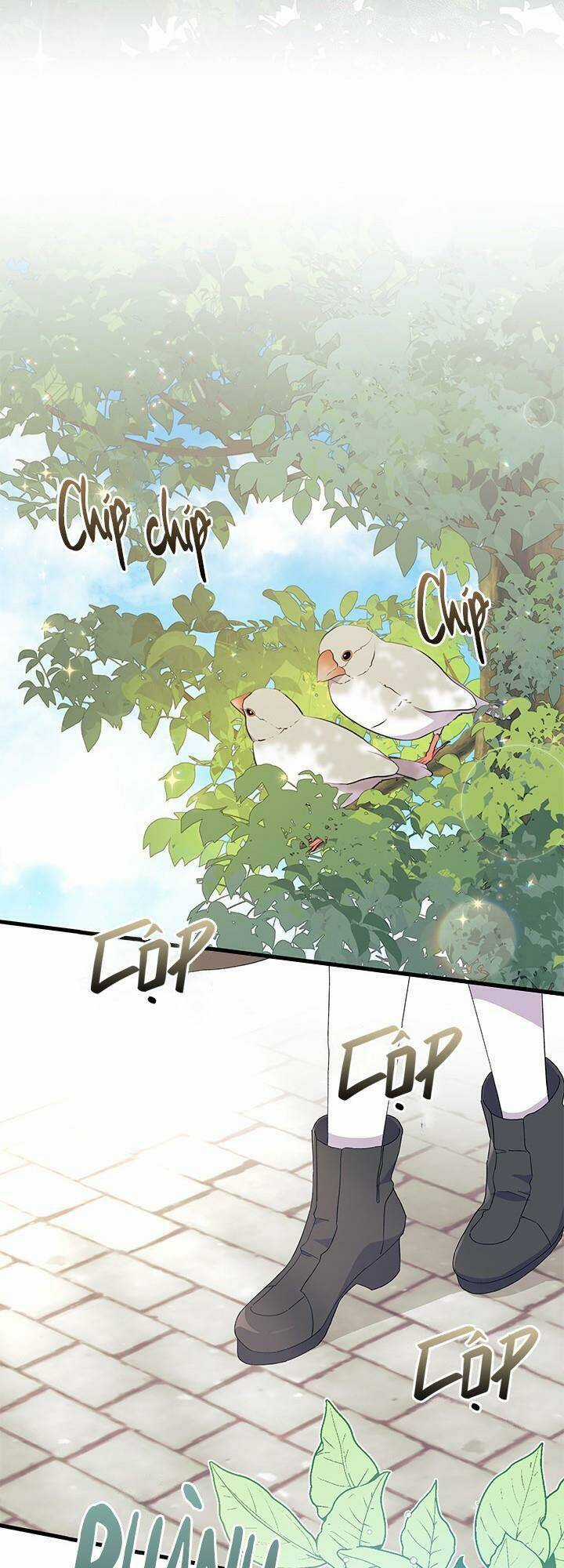 Tôi Không Muốn Làm Người Mai Mối Chapter 59 trang 62