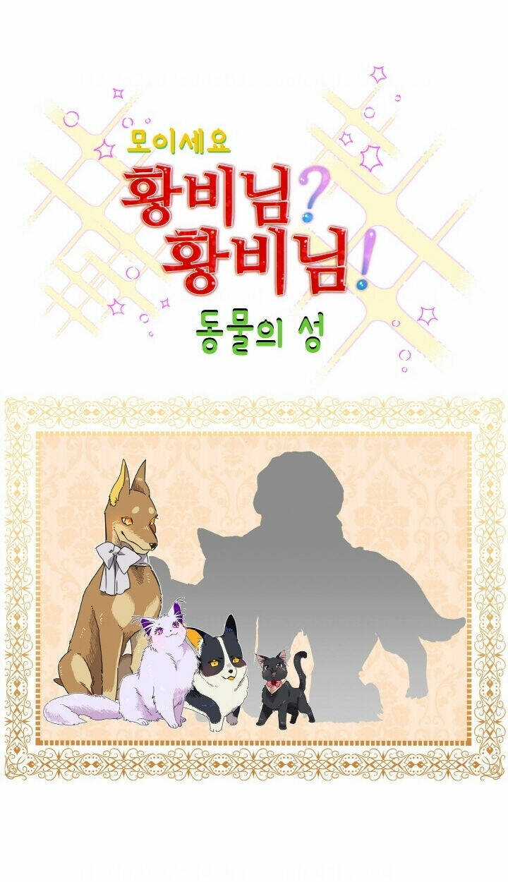 Tôi Không Muốn Trở Thành Nữ Hoàng Chapter 37 trang 51