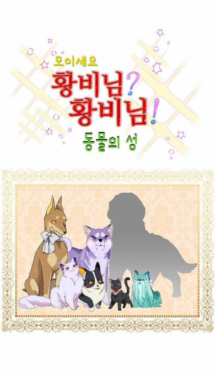 Tôi Không Muốn Trở Thành Nữ Hoàng Chapter 39 trang 56